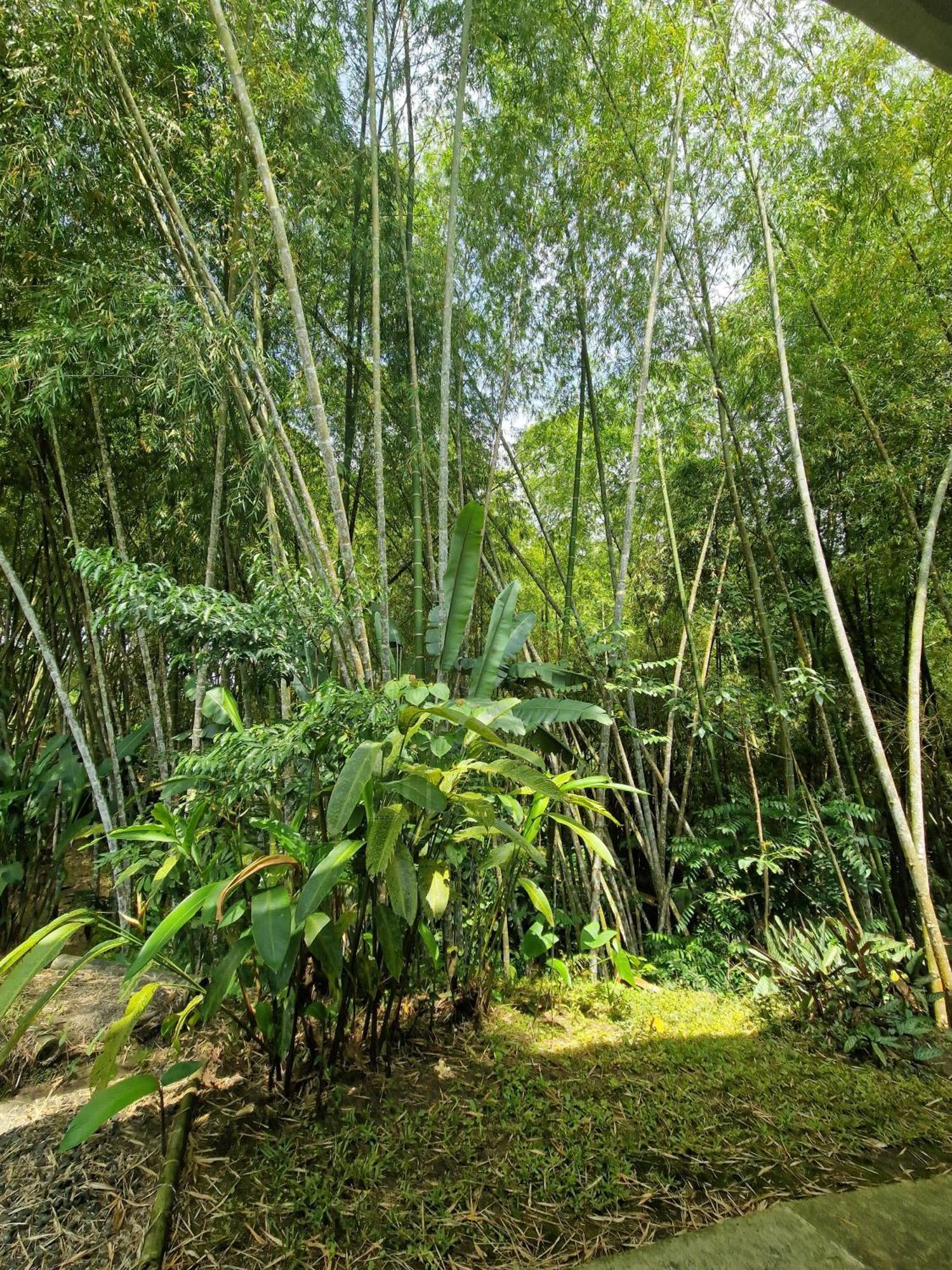 Bhutan Filandia Guest House Luaran gambar